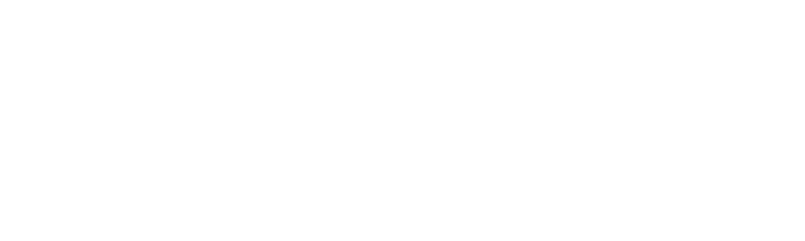 BLOWZER