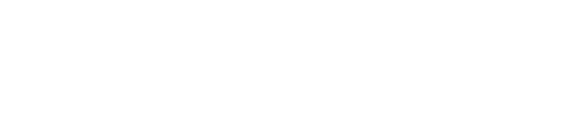 BLOWZER